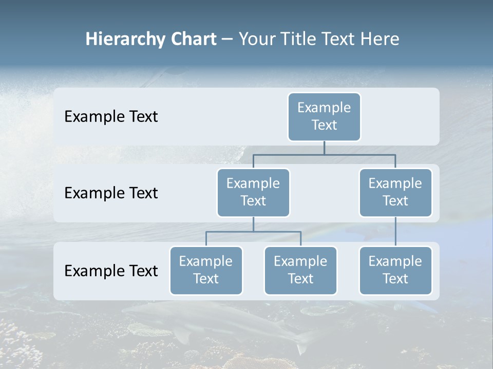 Sharks Underwater PowerPoint Template