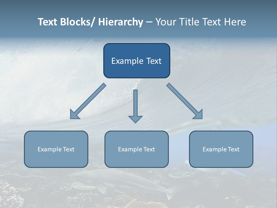 Sharks Underwater PowerPoint Template