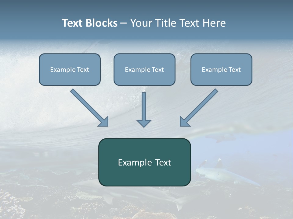 Sharks Underwater PowerPoint Template