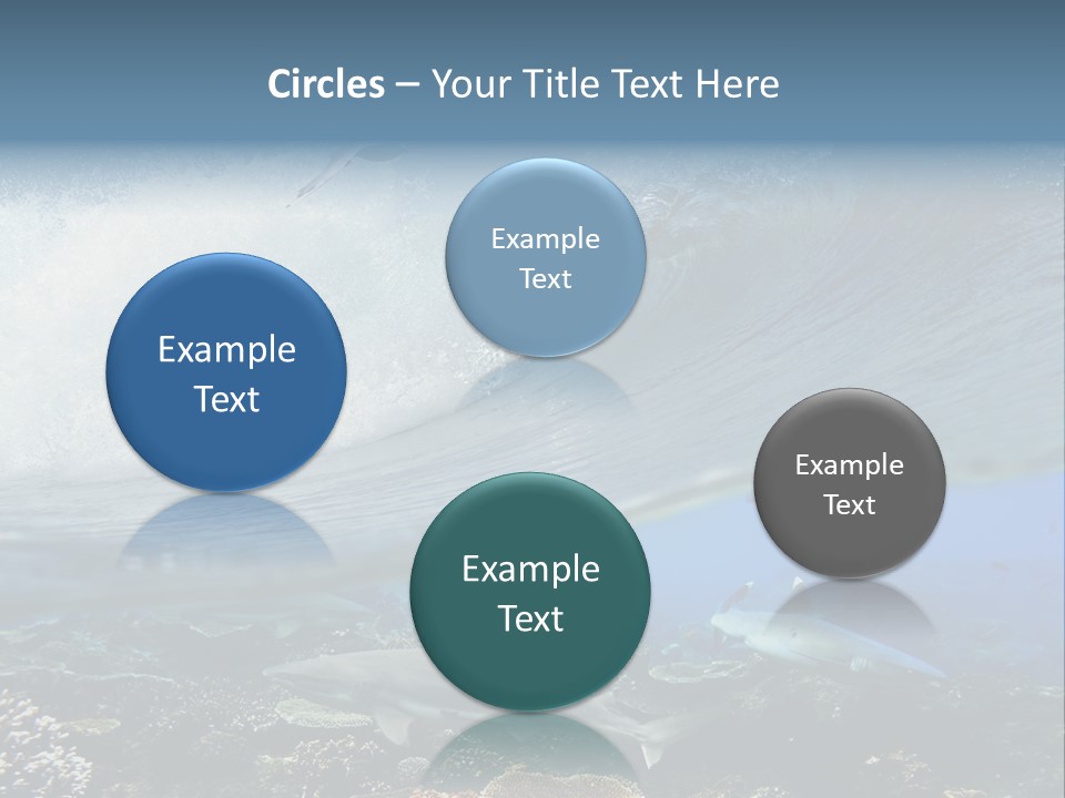 Sharks Underwater PowerPoint Template