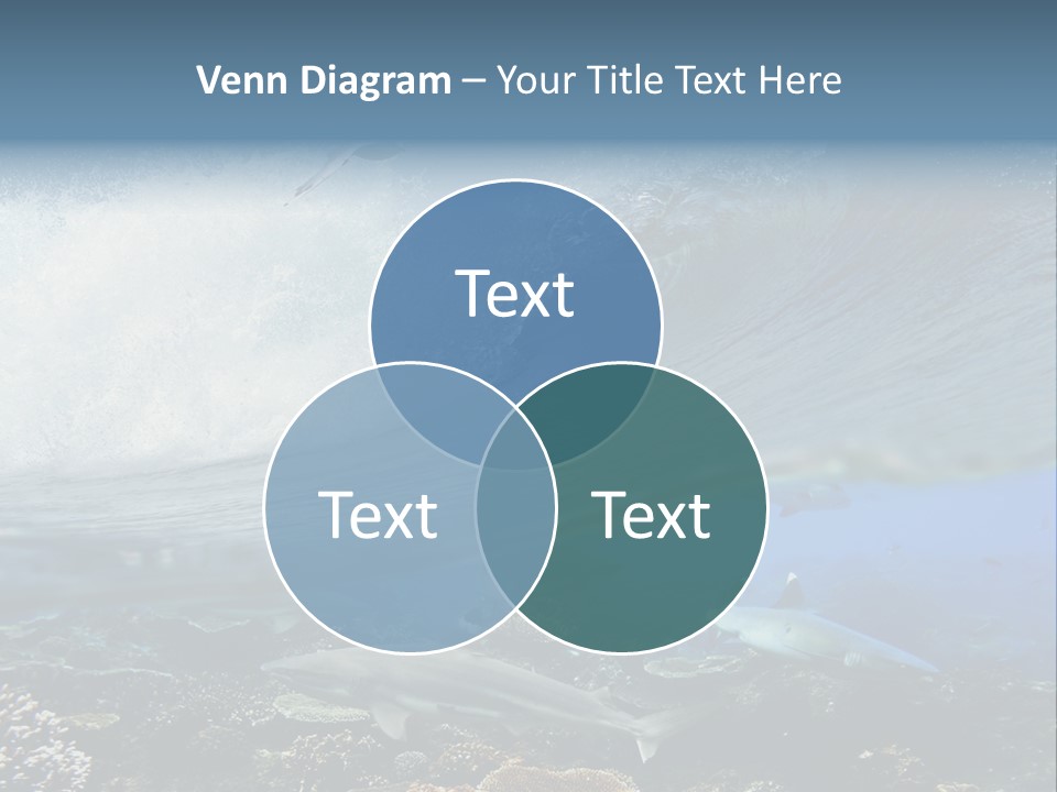 Sharks Underwater PowerPoint Template