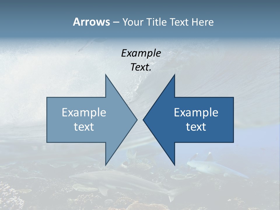 Sharks Underwater PowerPoint Template