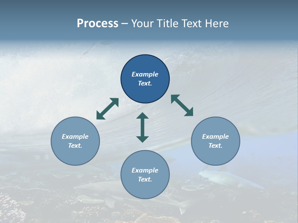 Sharks Underwater PowerPoint Template