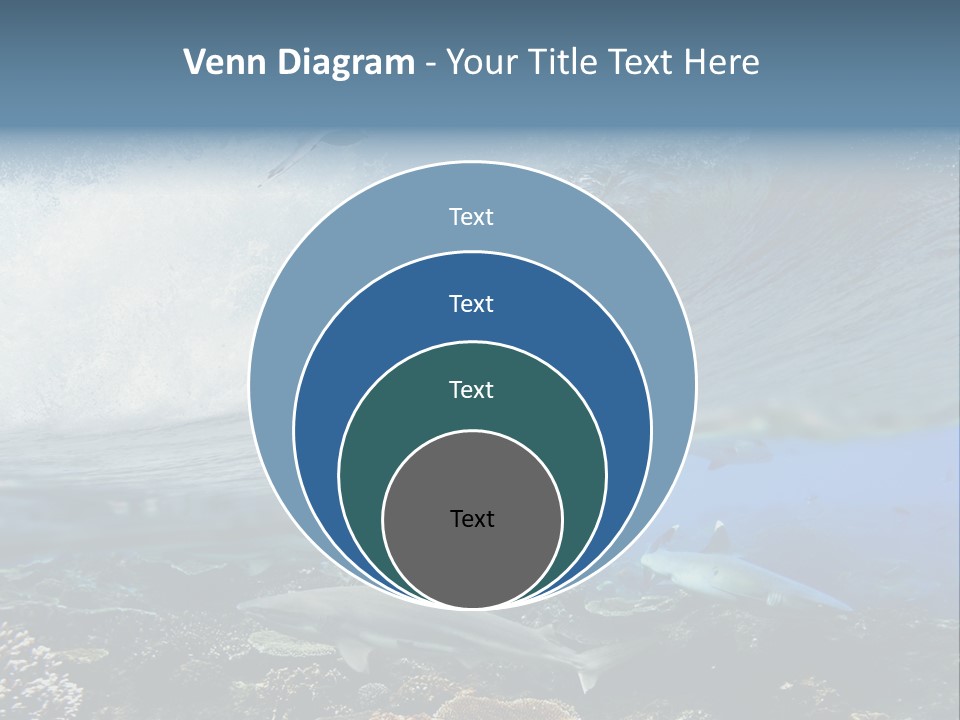 Sharks Underwater PowerPoint Template