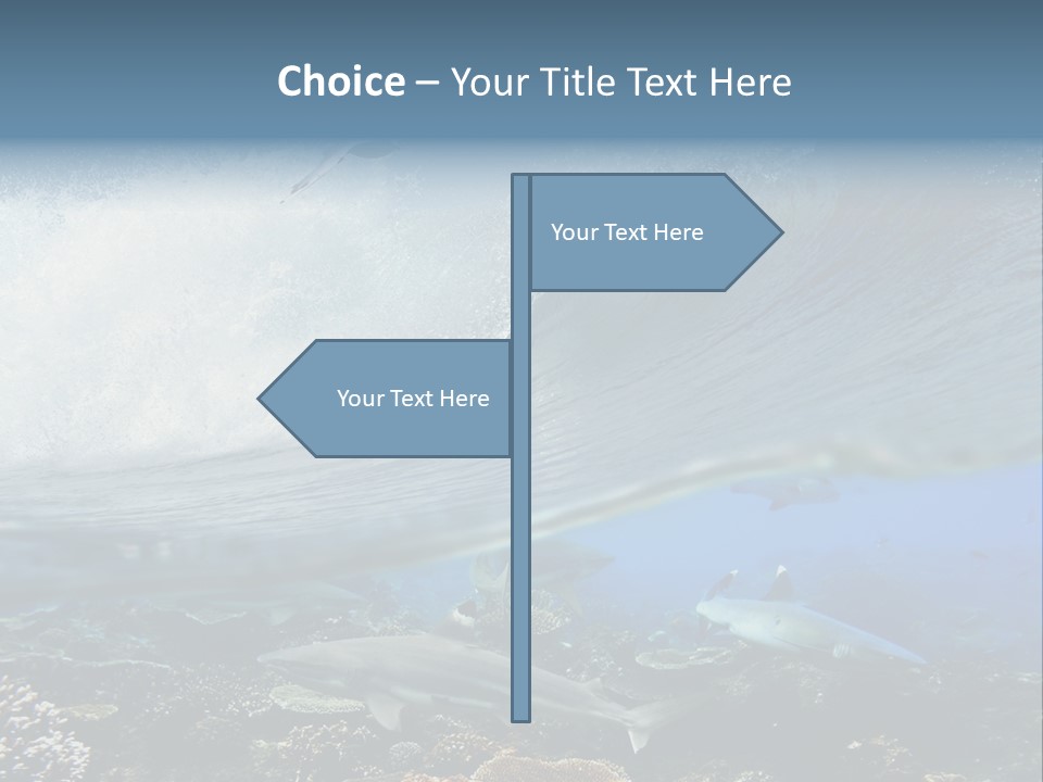 Sharks Underwater PowerPoint Template