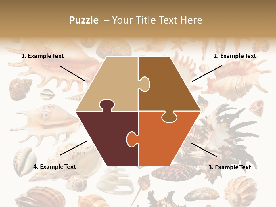 Collection Design Collage PowerPoint Template