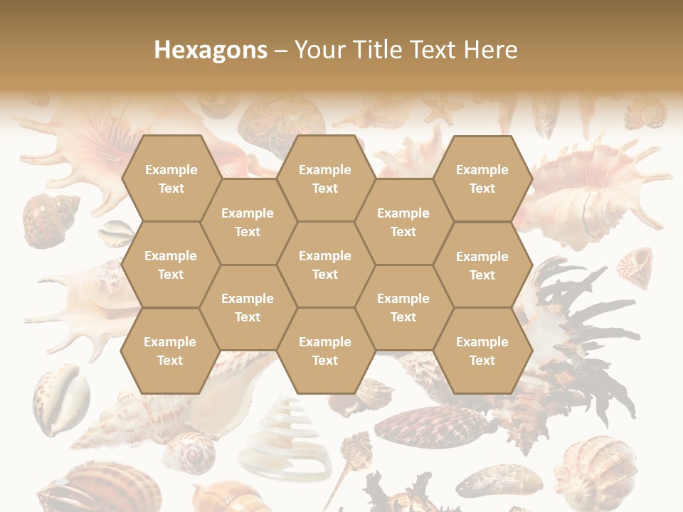 Collection Design Collage PowerPoint Template