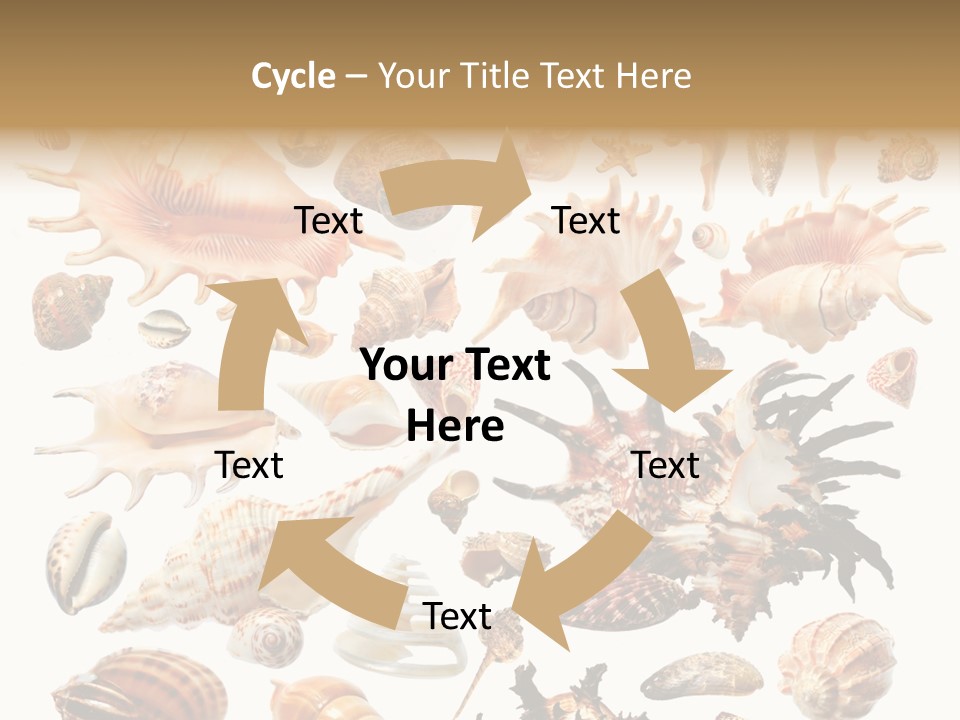 Collection Design Collage PowerPoint Template