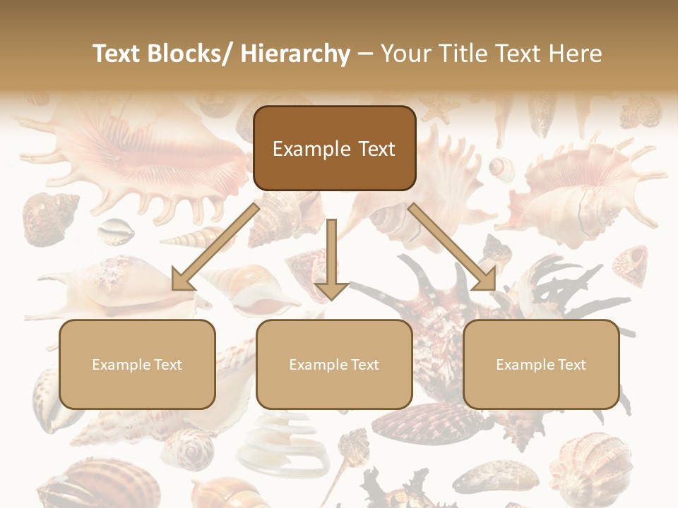 Collection Design Collage PowerPoint Template