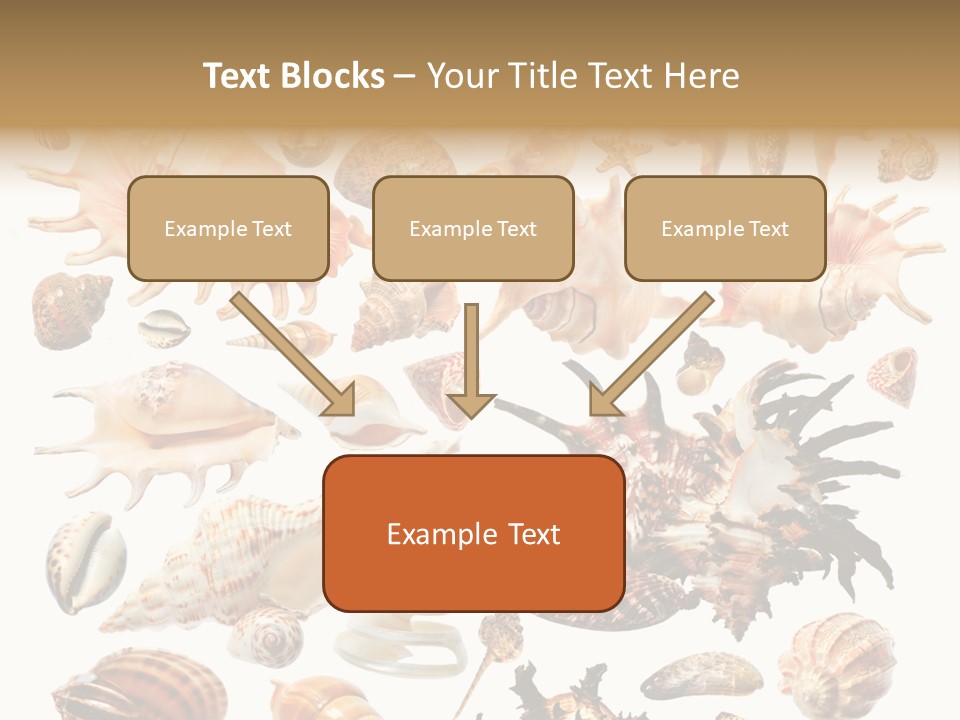 Collection Design Collage PowerPoint Template