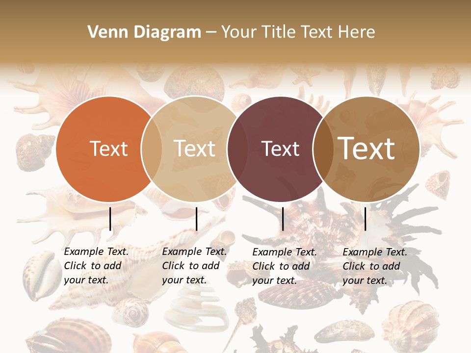 Collection Design Collage PowerPoint Template