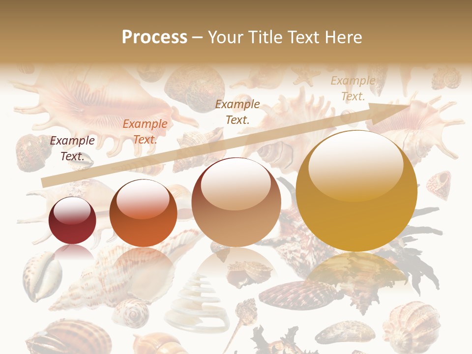 Collection Design Collage PowerPoint Template