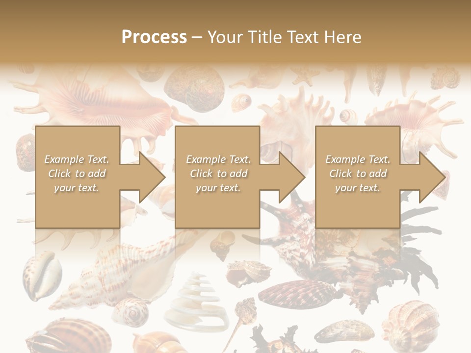 Collection Design Collage PowerPoint Template