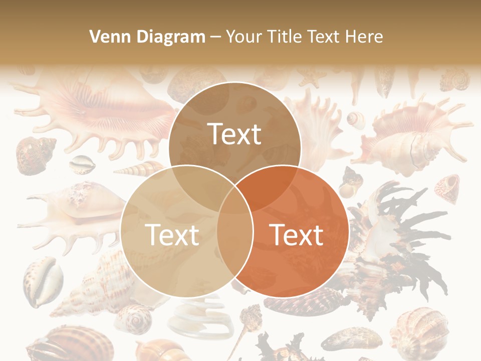 Collection Design Collage PowerPoint Template