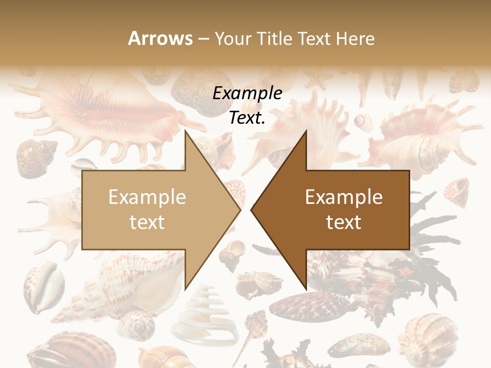 Collection Design Collage PowerPoint Template