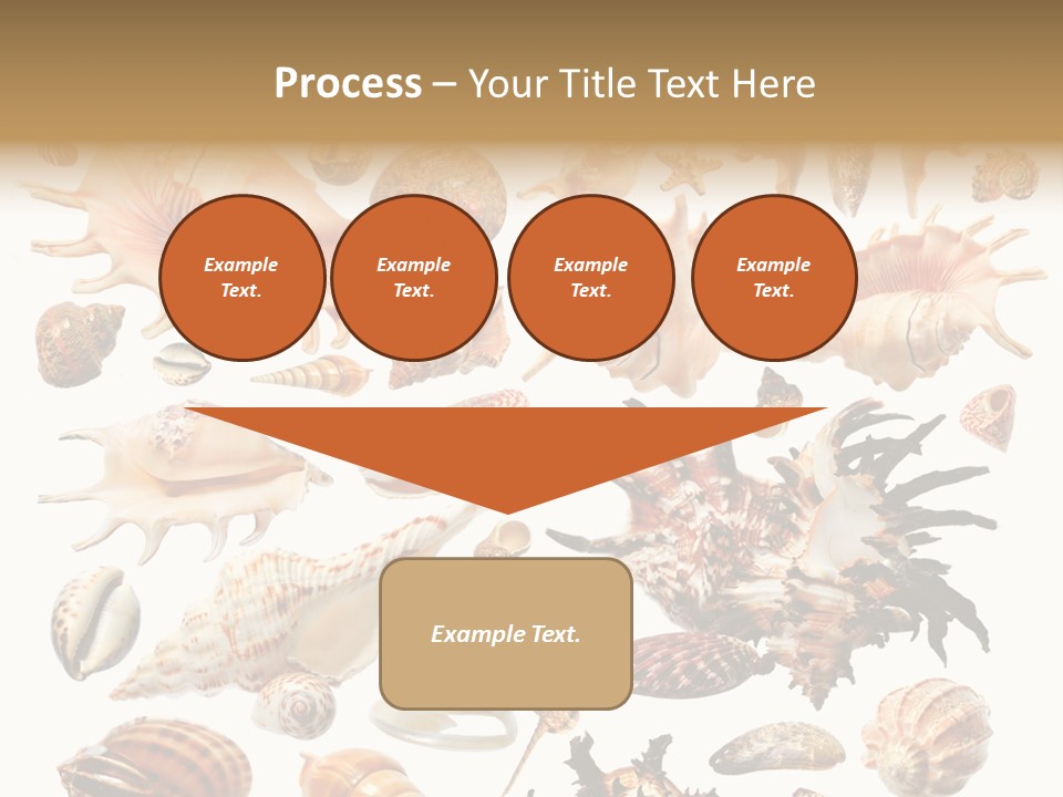 Collection Design Collage PowerPoint Template