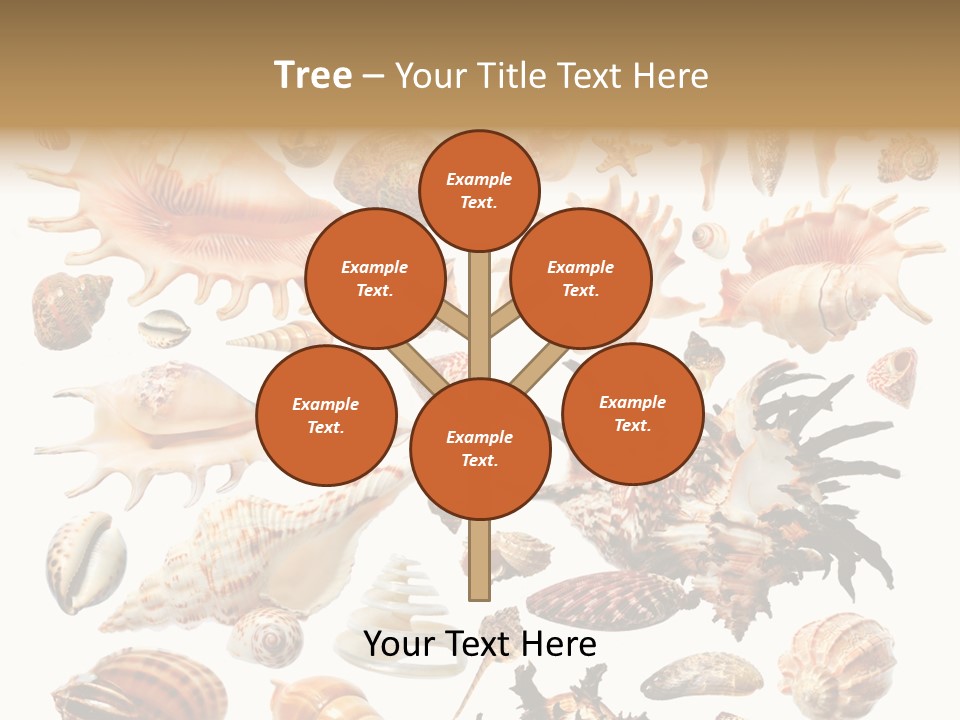 Collection Design Collage PowerPoint Template