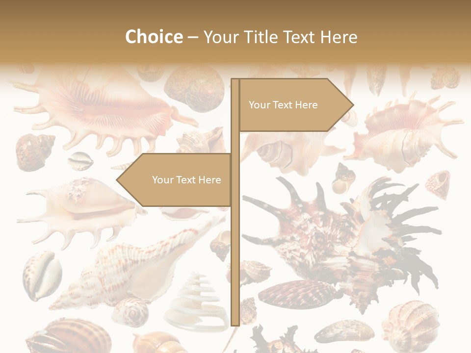 Collection Design Collage PowerPoint Template