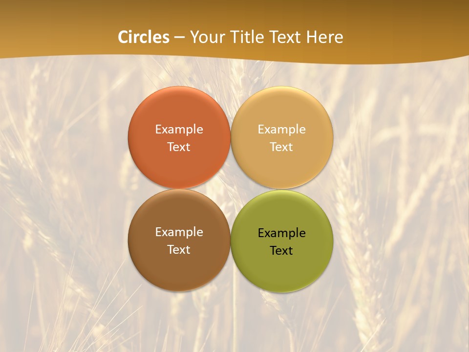 Orange Cereal Beautiful PowerPoint Template