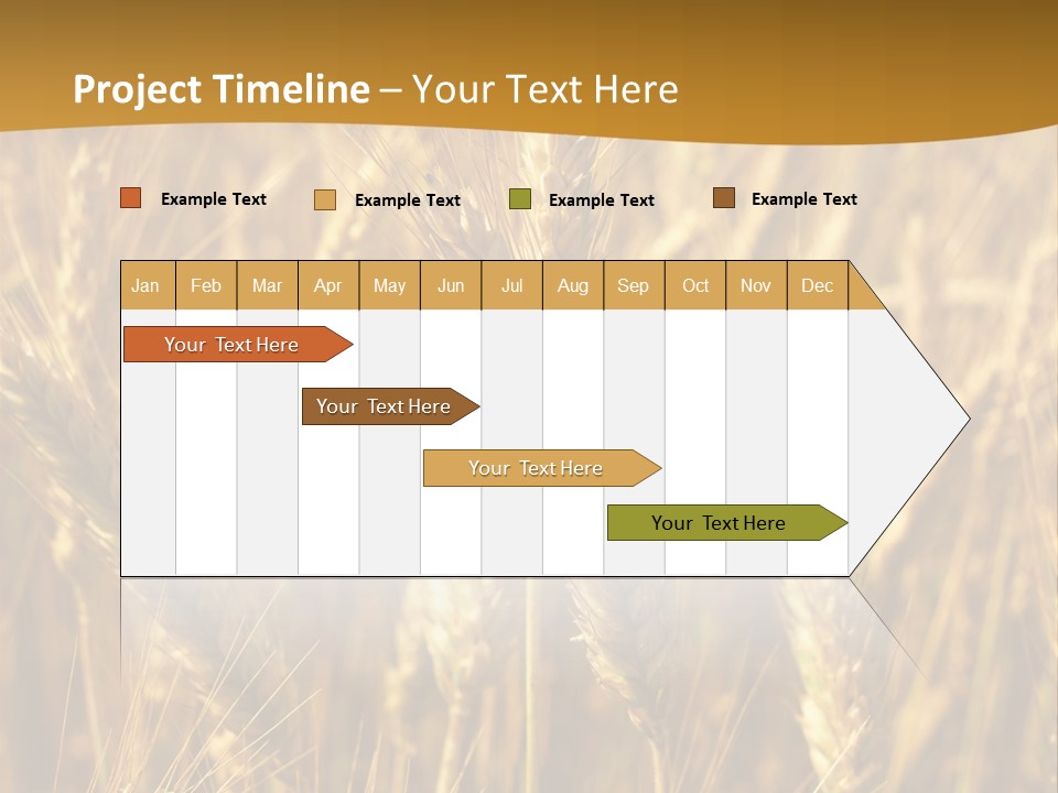Orange Cereal Beautiful PowerPoint Template