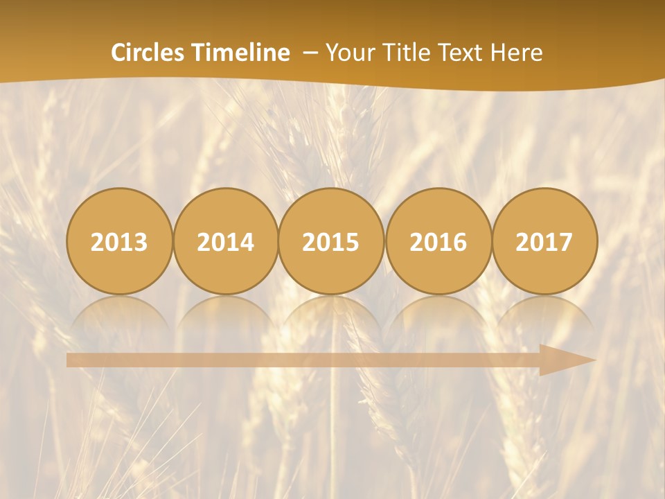 Orange Cereal Beautiful PowerPoint Template