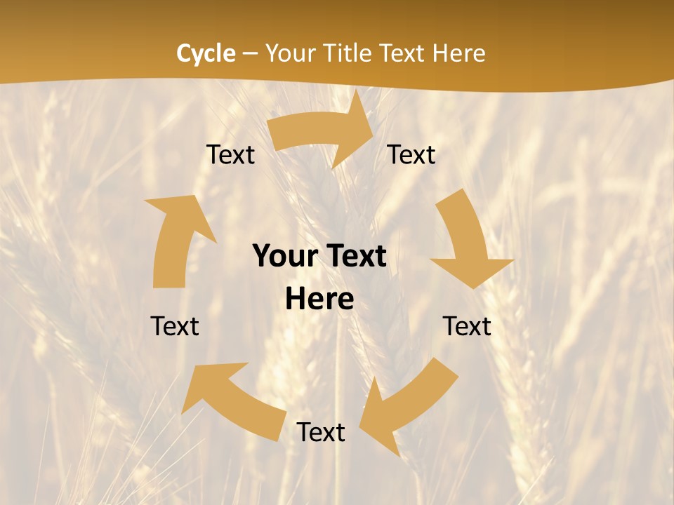 Orange Cereal Beautiful PowerPoint Template