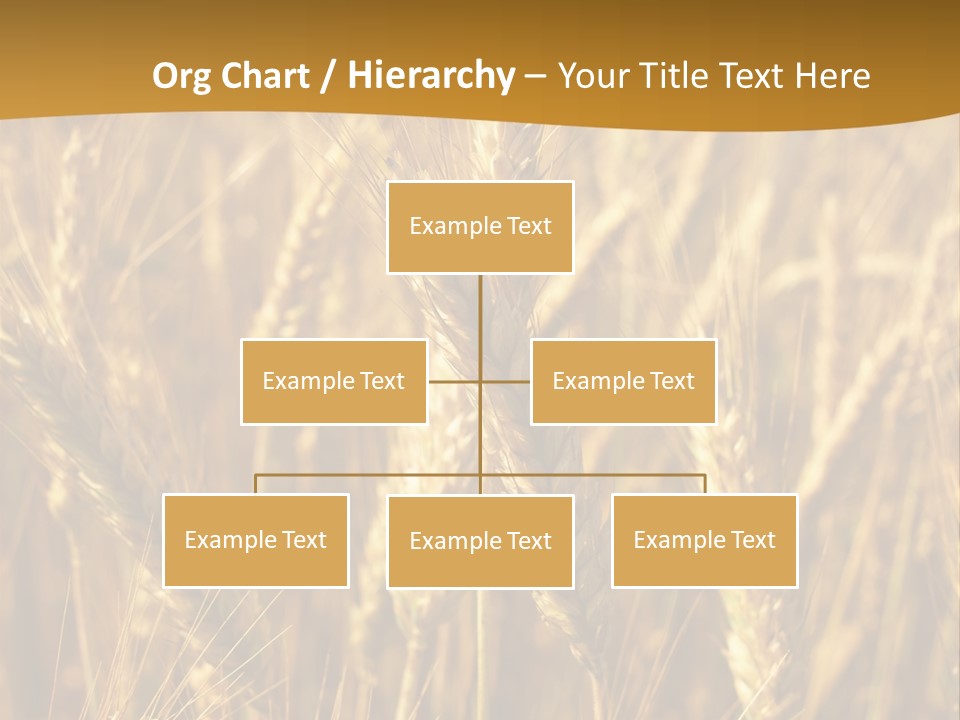 Orange Cereal Beautiful PowerPoint Template