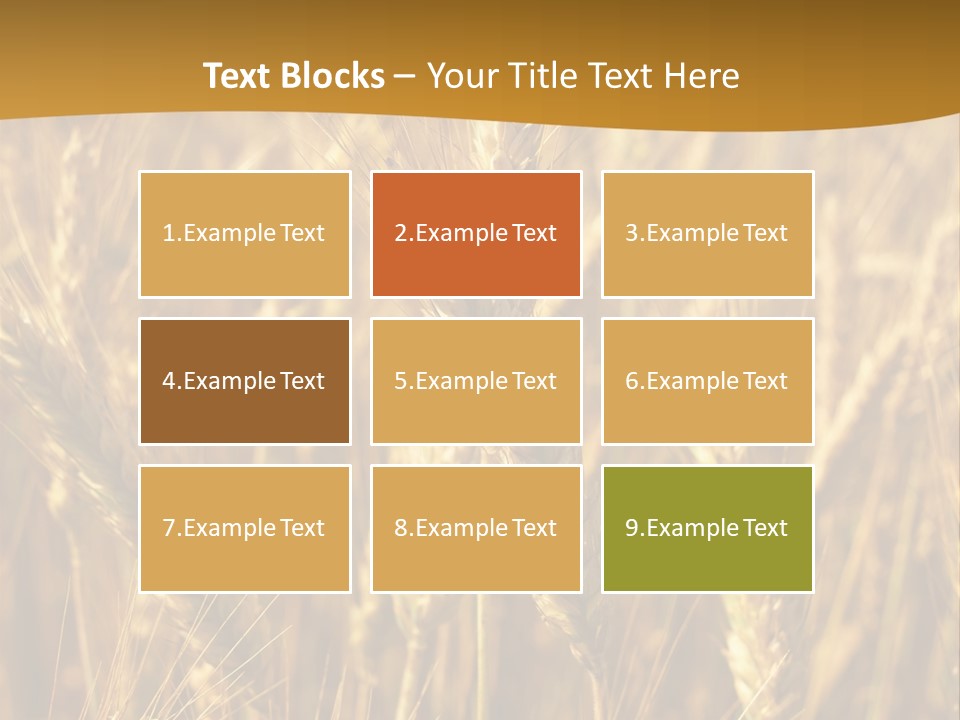 Orange Cereal Beautiful PowerPoint Template