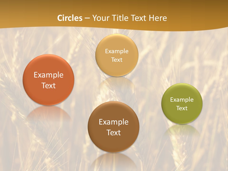 Orange Cereal Beautiful PowerPoint Template