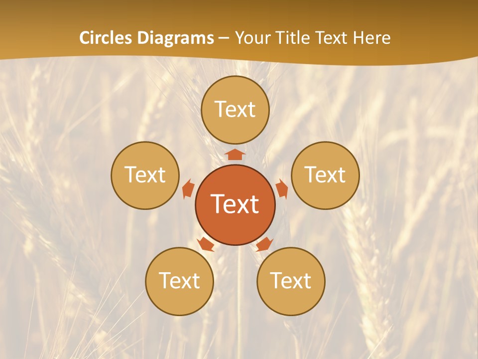 Orange Cereal Beautiful PowerPoint Template