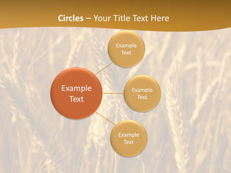 Orange Cereal Beautiful PowerPoint Template