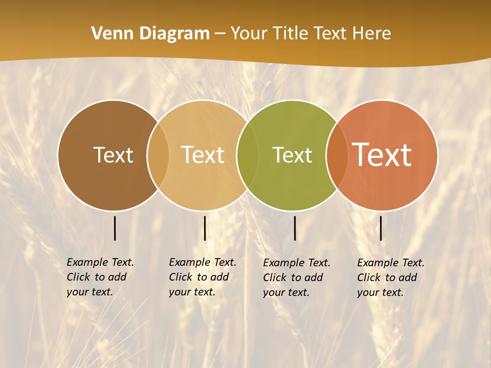 Orange Cereal Beautiful PowerPoint Template