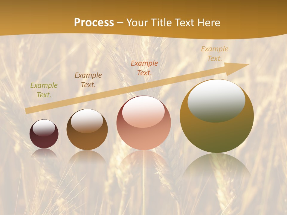 Orange Cereal Beautiful PowerPoint Template