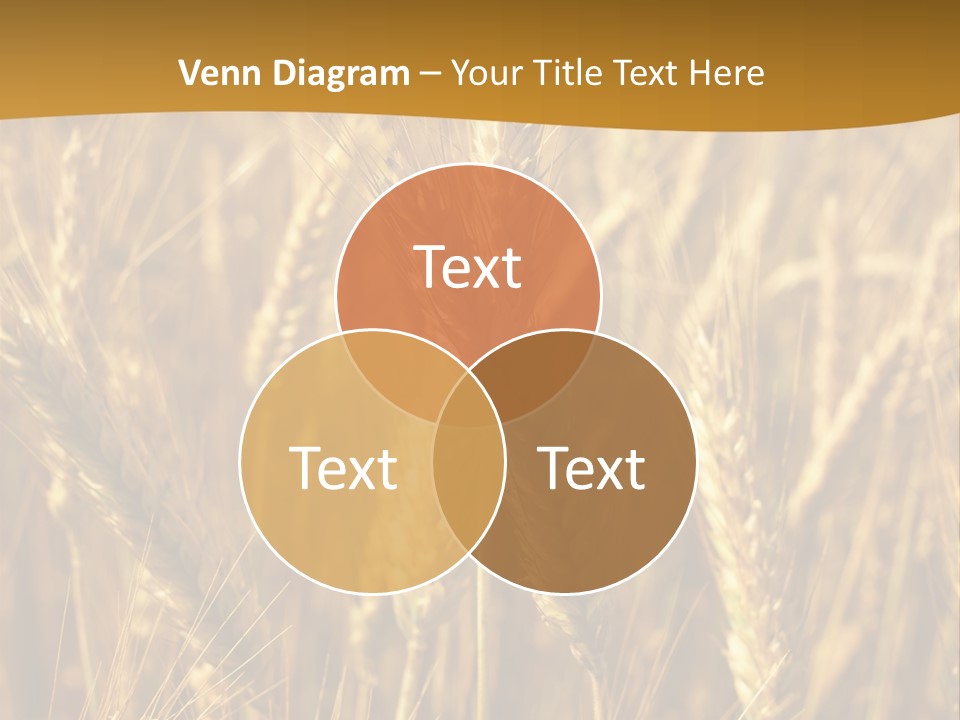 Orange Cereal Beautiful PowerPoint Template