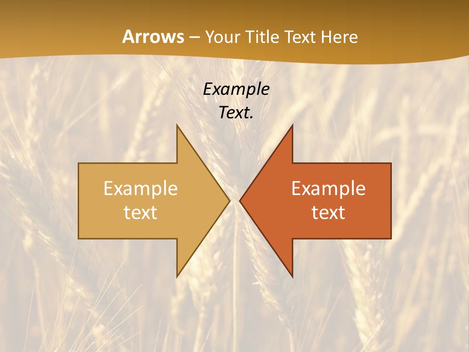 Orange Cereal Beautiful PowerPoint Template