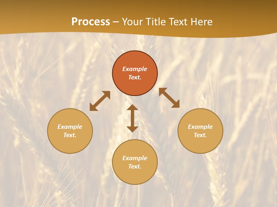 Orange Cereal Beautiful PowerPoint Template