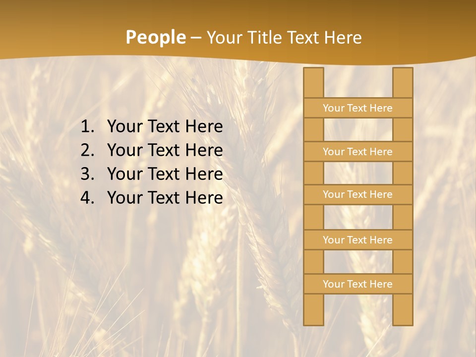 Orange Cereal Beautiful PowerPoint Template