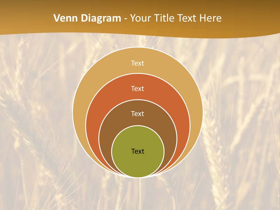 Orange Cereal Beautiful PowerPoint Template