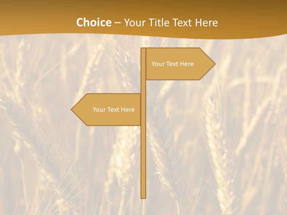 Orange Cereal Beautiful PowerPoint Template