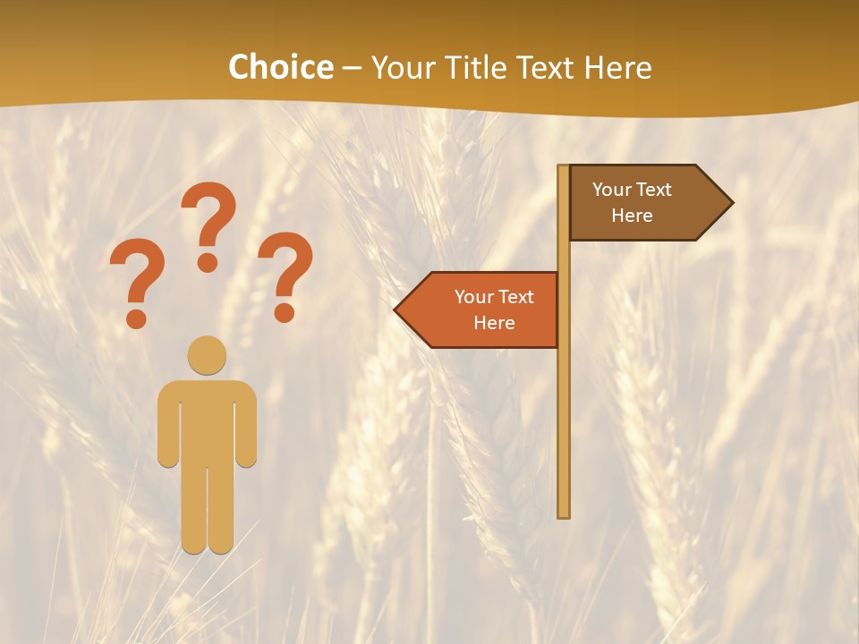 Orange Cereal Beautiful PowerPoint Template