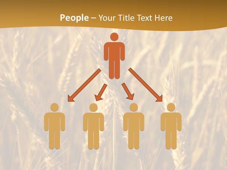 Orange Cereal Beautiful PowerPoint Template