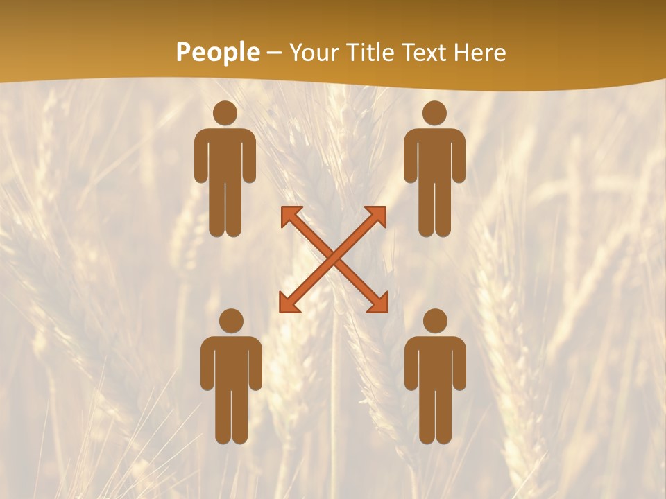 Orange Cereal Beautiful PowerPoint Template