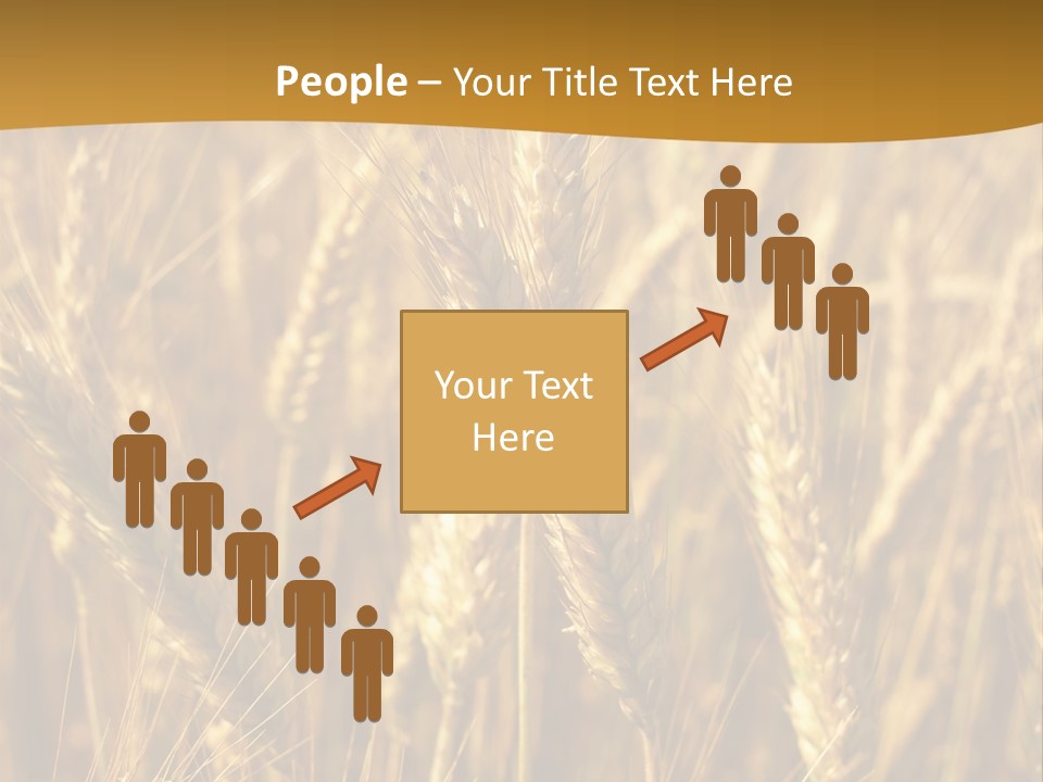 Orange Cereal Beautiful PowerPoint Template