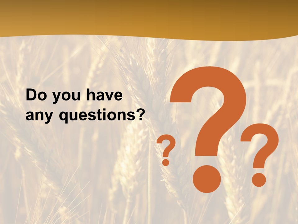 Orange Cereal Beautiful PowerPoint Template