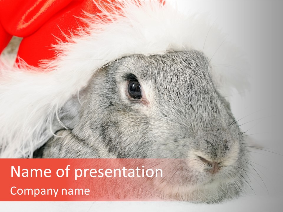 Christmas Bunny PowerPoint Template