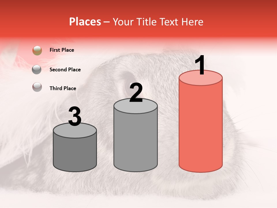 Christmas Bunny PowerPoint Template