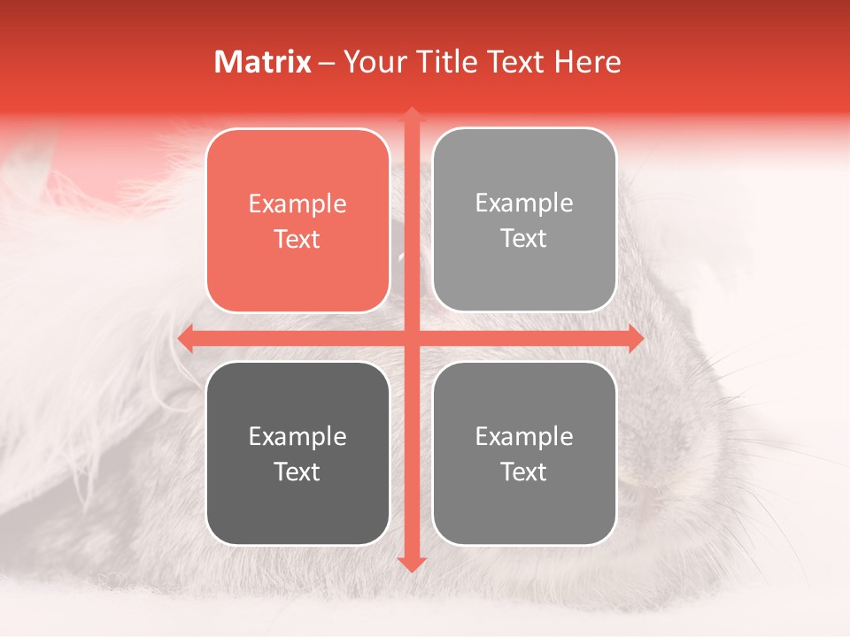 Christmas Bunny PowerPoint Template