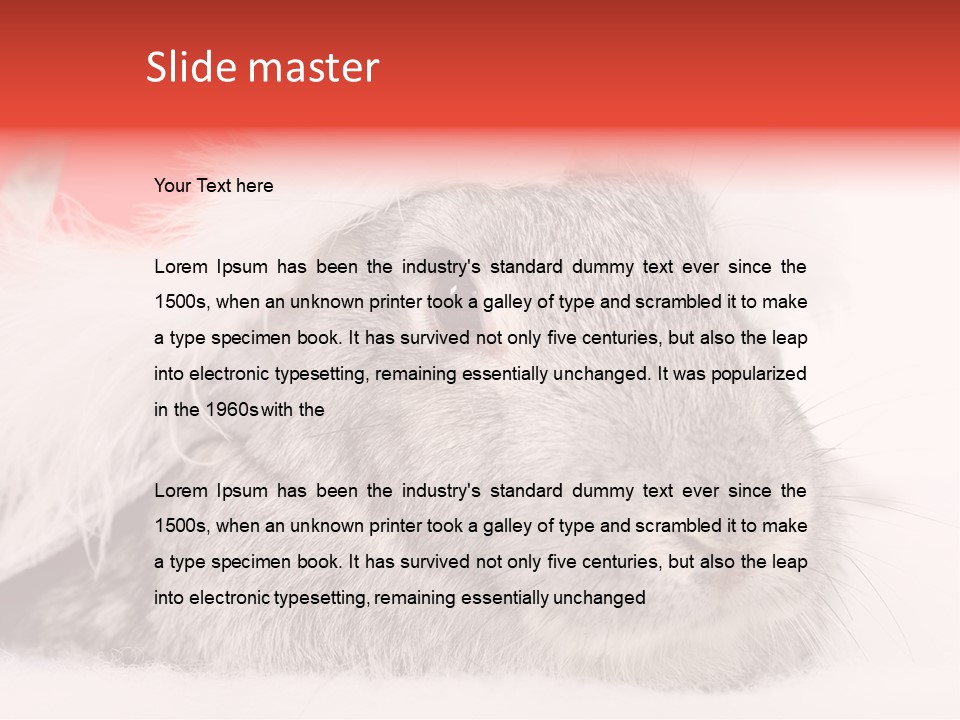 Christmas Bunny PowerPoint Template