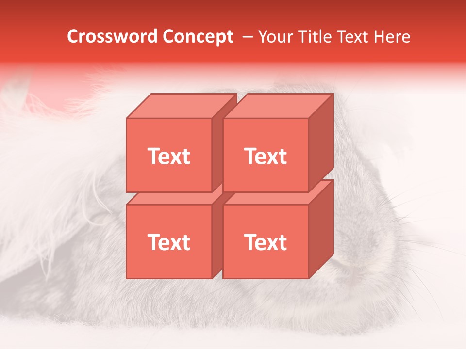 Christmas Bunny PowerPoint Template