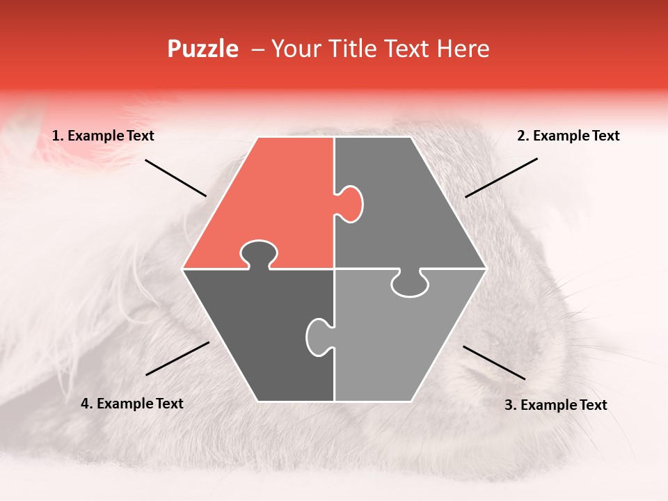 Christmas Bunny PowerPoint Template